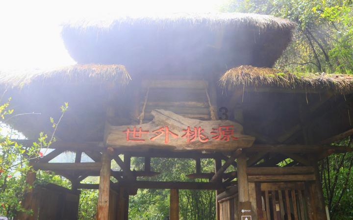 探索林志颖车祸施救者5人,可能获赠上百万奖金,你怎么看?,打开知识星球平台的新视界!