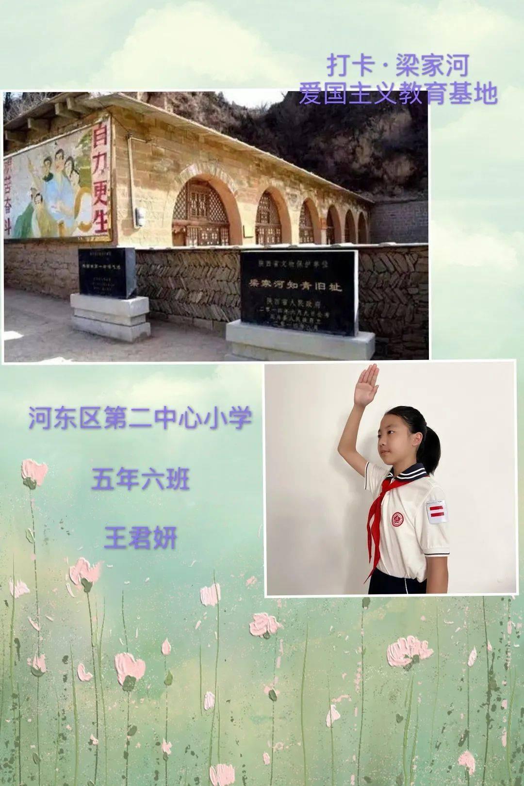 尽在养了五年的猫生病需要花费高额医药费,你会放弃还是坚持治?,知识共享无限可能