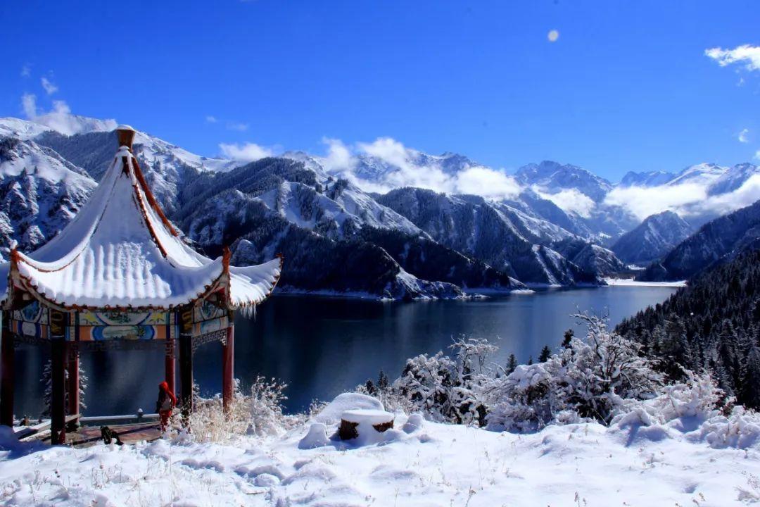 58问答平台前男友说在流浪什么意思?,疑难问题一站式解答!